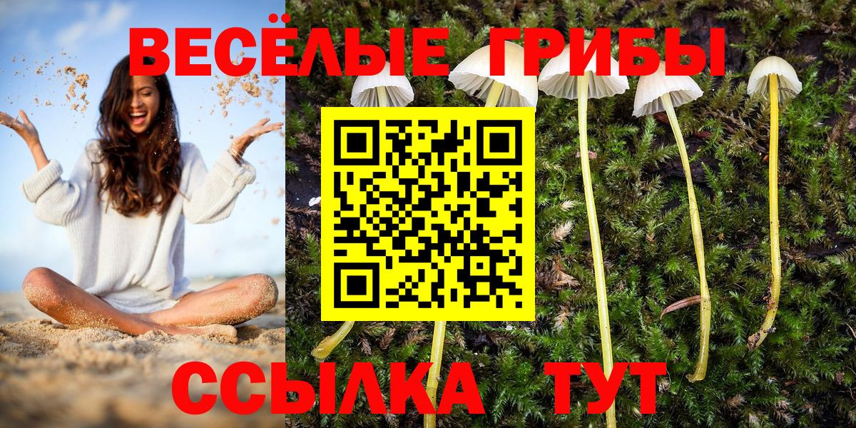 Кисловодск  Псилоцибиновые грибы MAGIC MUSHROOMS  Галлюциногенные грибы Cubensis  Вход с VPN 